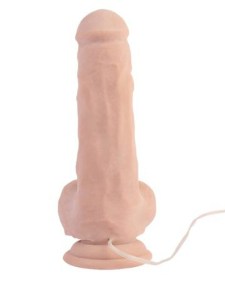 Reasitičan Vibrator  CN 101831127-4